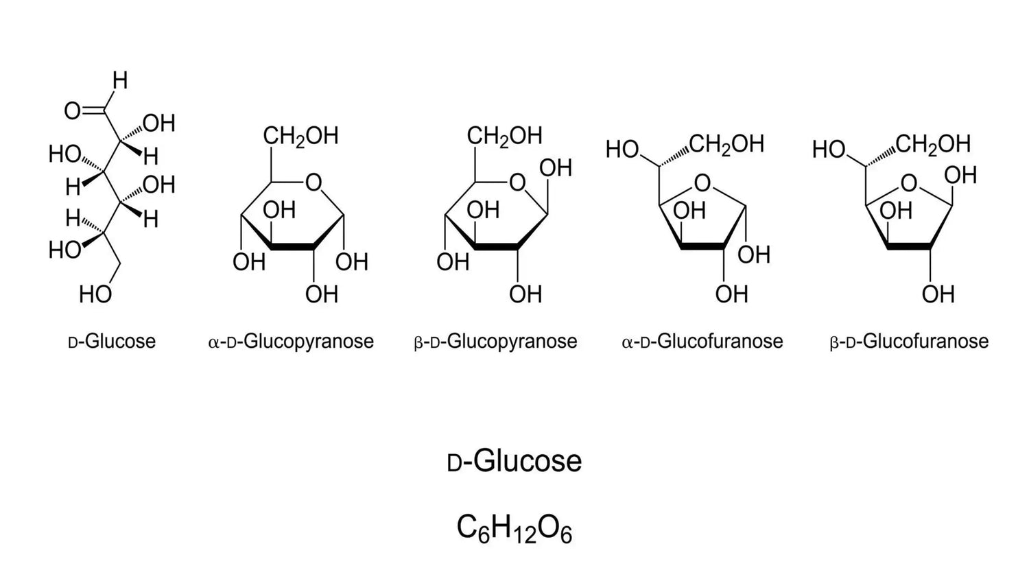 glucose-structure-forms-haworth-fischer-
